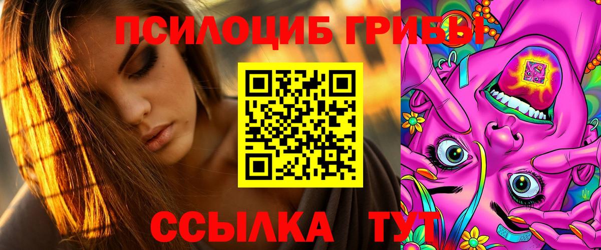 Ленинск-Кузнецкий  Псилоцибиновые грибы Psilocybine cubensis  Вход с VPN  Галлюциногенные грибы прущие грибы 